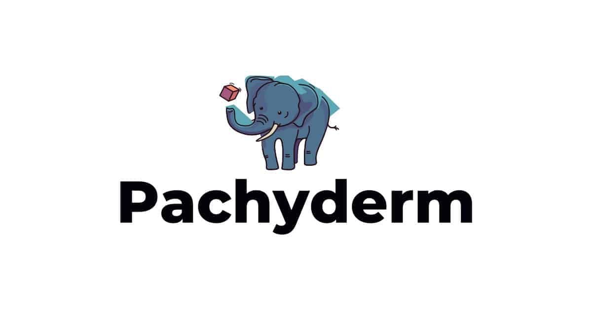 Pachyderm brand logo