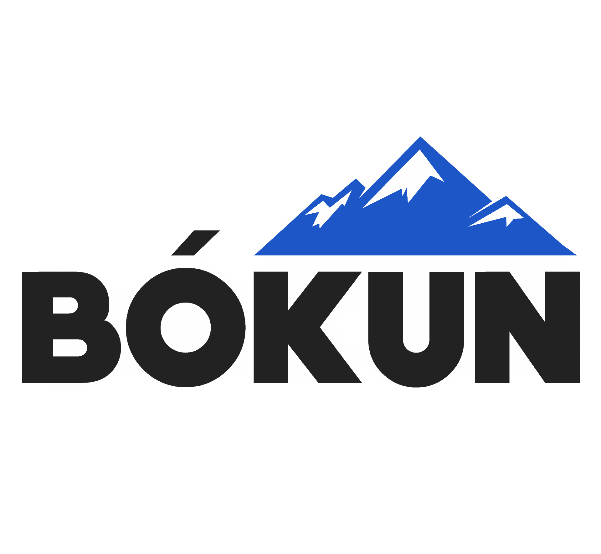 Bokun company logo