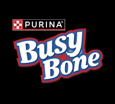 Busy Bone