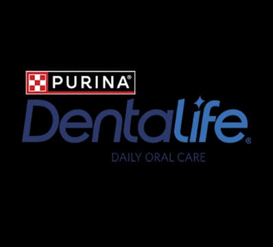 Dental Life brand logo