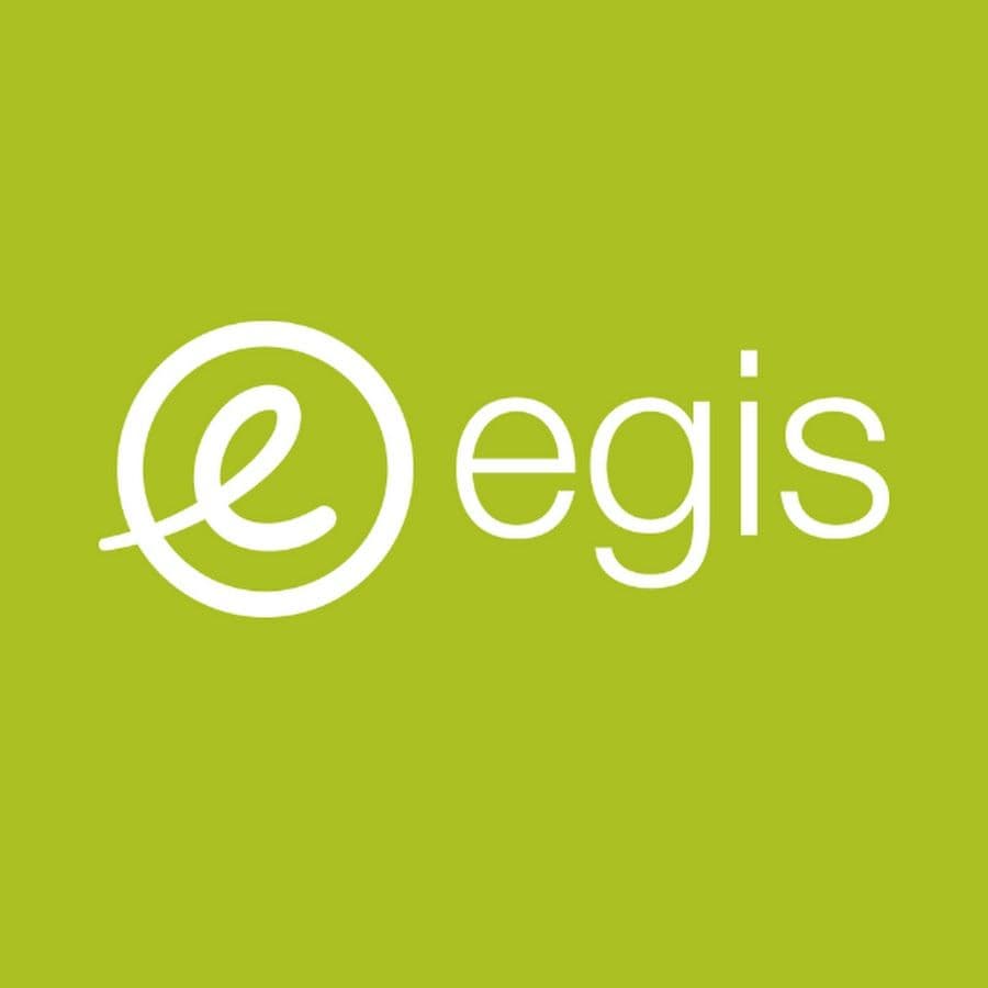 Egis Group