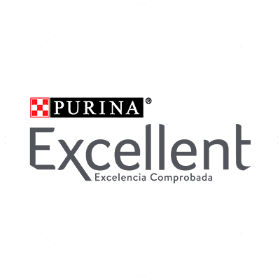 Excellent brand logo