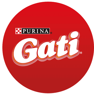 Gati brand logo