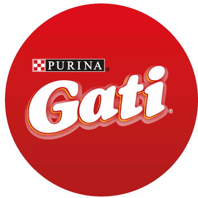 Gati