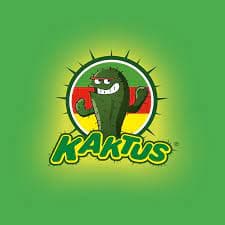 Kaktus