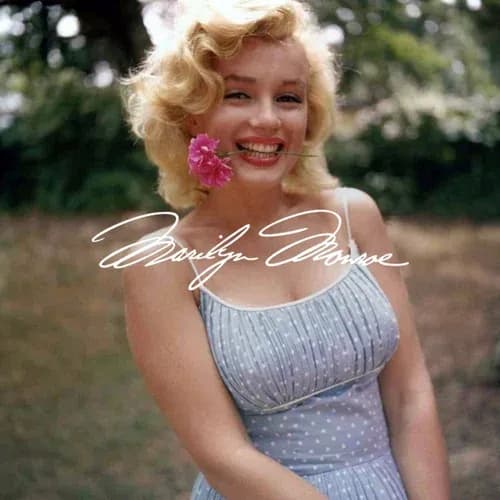 Marilyn Monroe brand logo