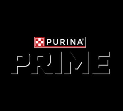 Prime brand logo